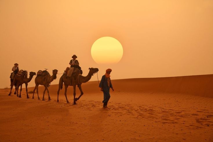 Dubai Sand Safari